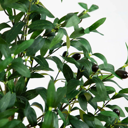 Artificial Olive Tree 5 Foot faux plant with dark green leaves and small olives on Tampa Home & Garden Store
