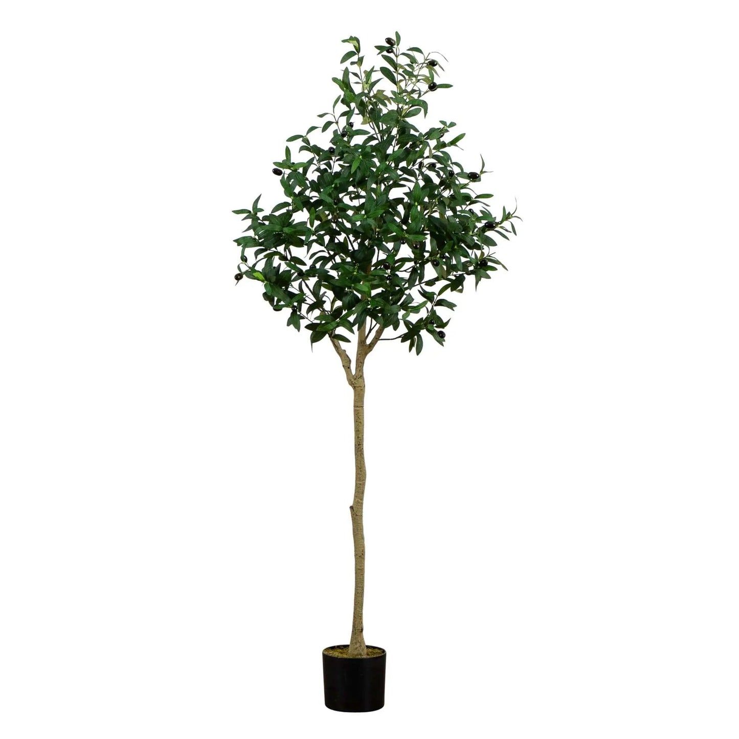 Artificial Olive Tree 5 ft tall in a black pot with dense dark green leaves and olives on Tampa Home & Garden Store