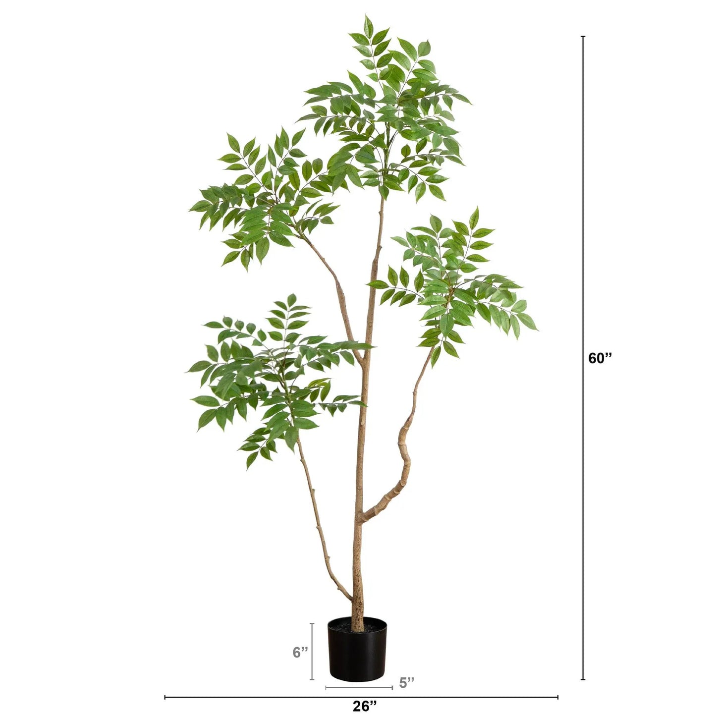 Five Foot artificial Pieris tree in a black pot with vibrant green leaves on Tampa Home & Garden Store