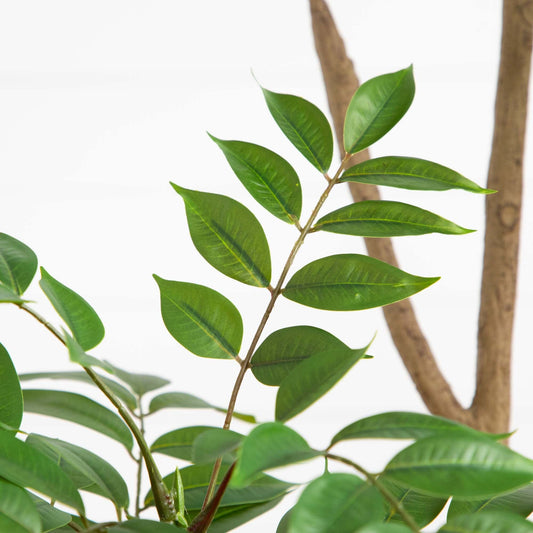 5’ Artificial Pieris Tree - Tampa Home & Garden Store