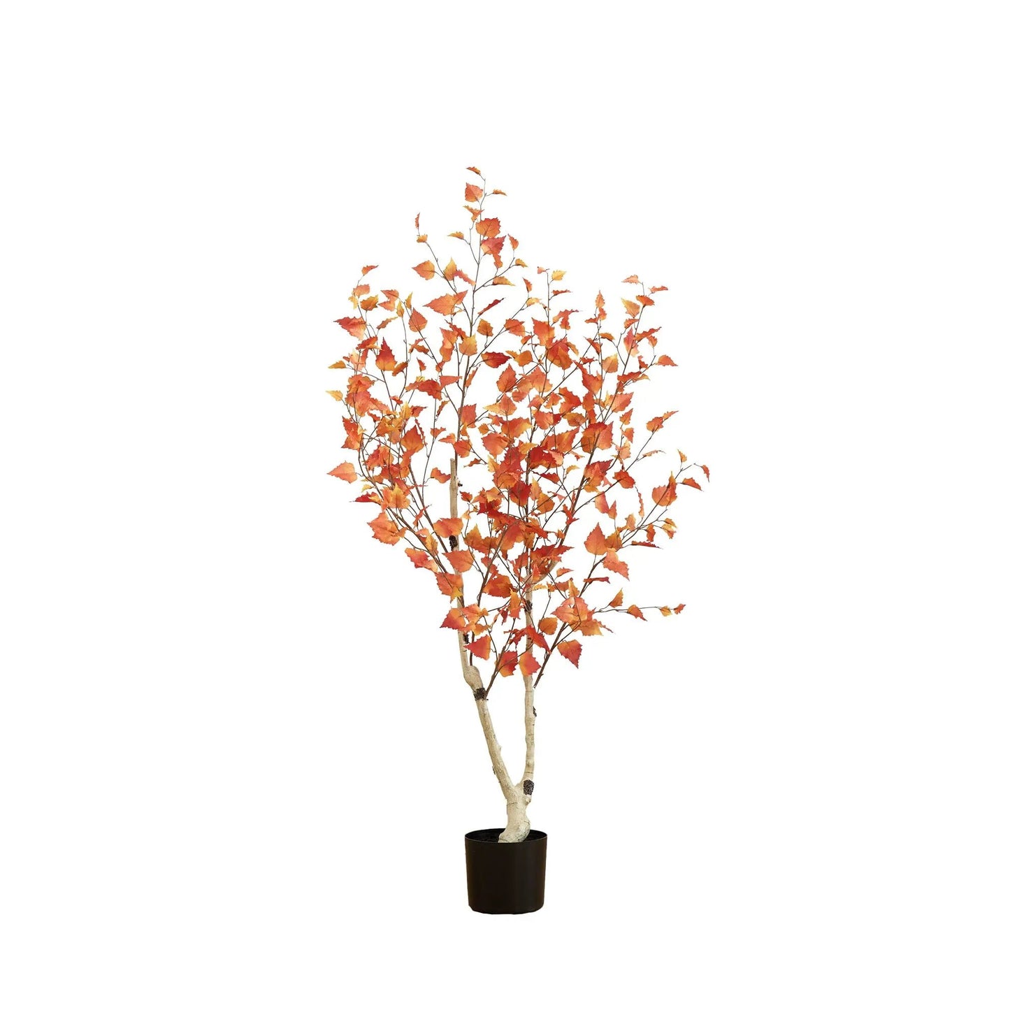Five Foot Autumn Birch Artificial Tree with orange fall leaves in a black planter on Tampa Home & Garden Store
