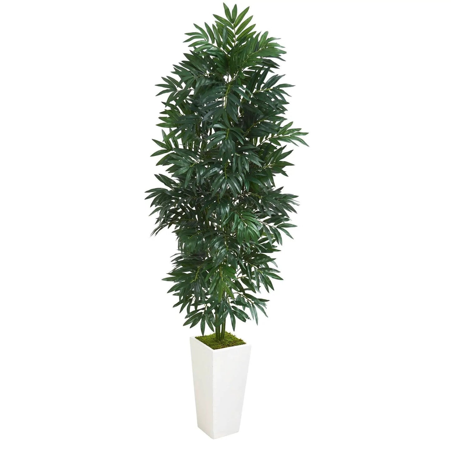 Bamboo Palm Artificial Plant in White Planter with moss, Nearly Natural, tall indoor decorative on Tampa Home & Garden Store