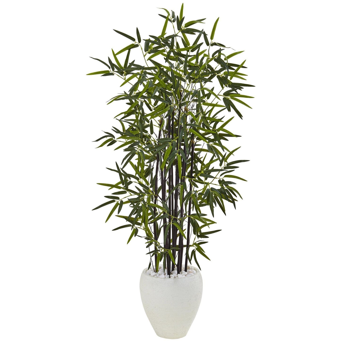 5 ft black bamboo tree in a white oval planter with white decorative stones on Tampa Home & Garden Store