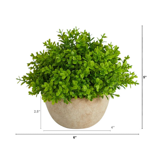 5” Boxwood Artificial Plant in Decorative Planter - Tampa Home & Garden Store