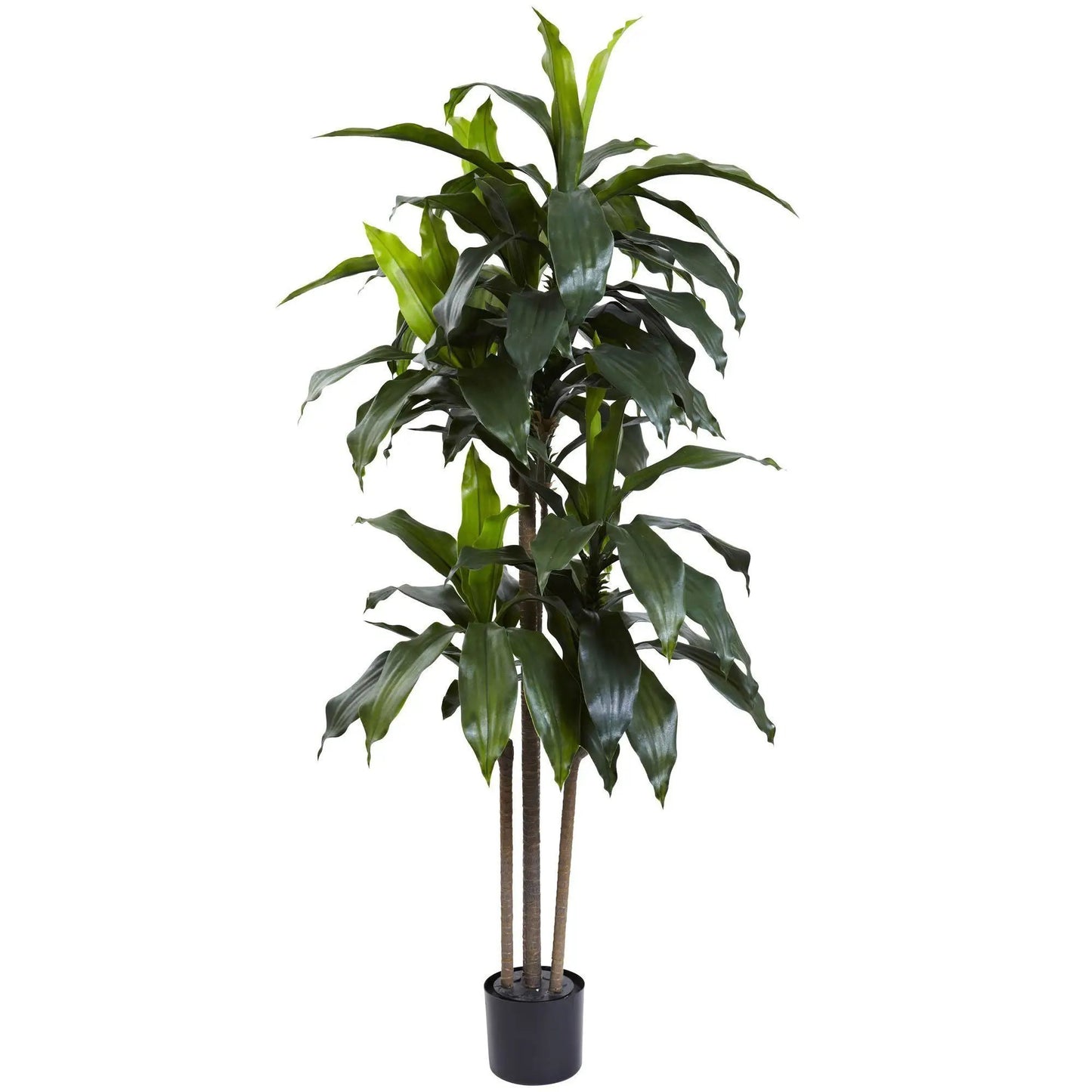 Dracaena plant 5 ft artificial with dark green leaves on trunks in black pot UV resistant on Tampa Home & Garden Store