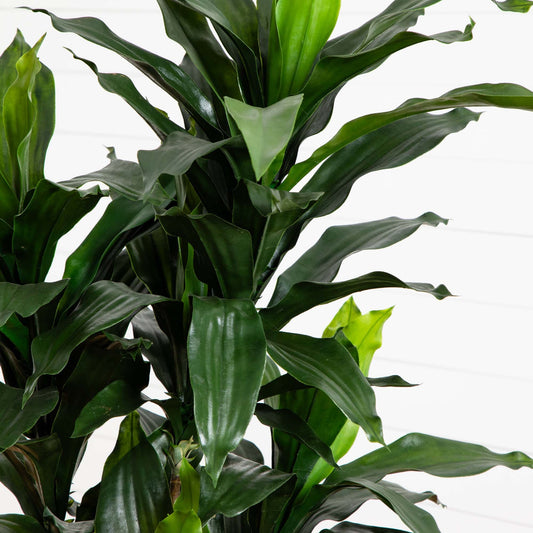 5’ Dracaena Plant UV Resistant (Indoor/Outdoor) - Tampa Home & Garden Store
