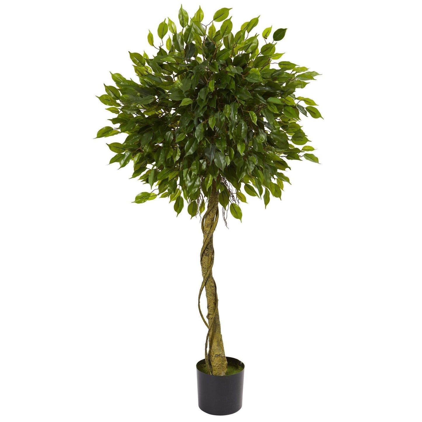 5' Ficus artificial topiary tree UV resistant with twisted trunk in black pot by Nearly Natural on Tampa Home & Garden Store