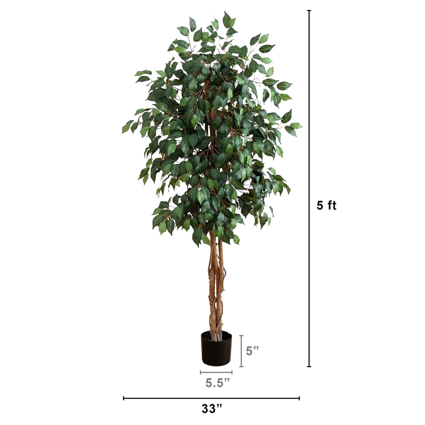 Árbol de seda ficus de 5 pies