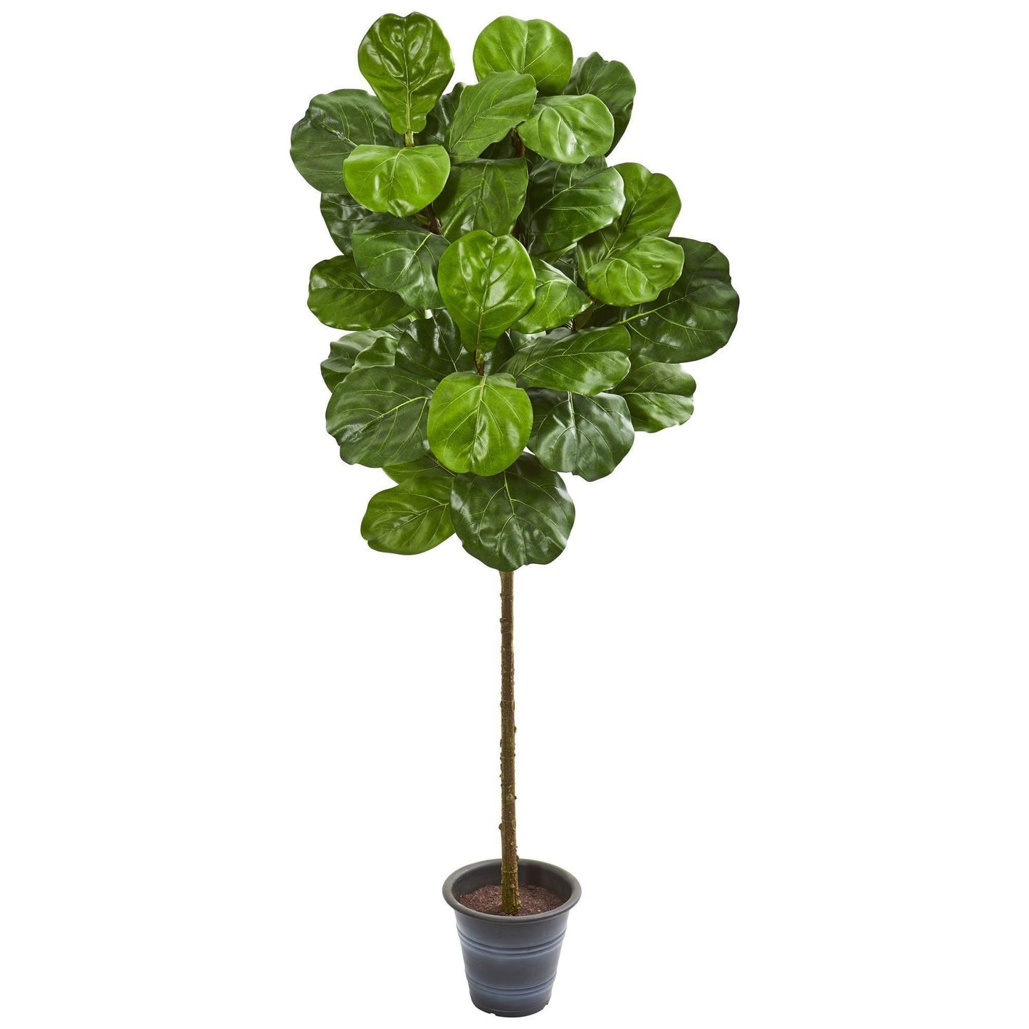 Artificial fiddle leaf tree in decorative planter, 5 ft tall, glossy green leaves, Nearly Natural on Tampa Home & Garden Store