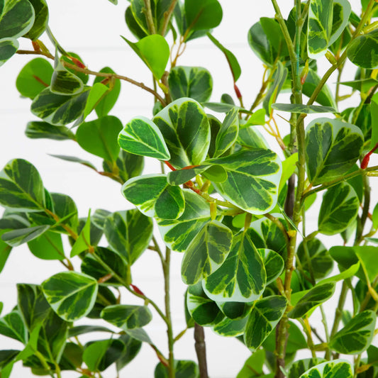 5 ft artificial heart-shaped ficus leaf tree by Nearly Natural with variegated green cream leaves on Tampa Home & Garden Store