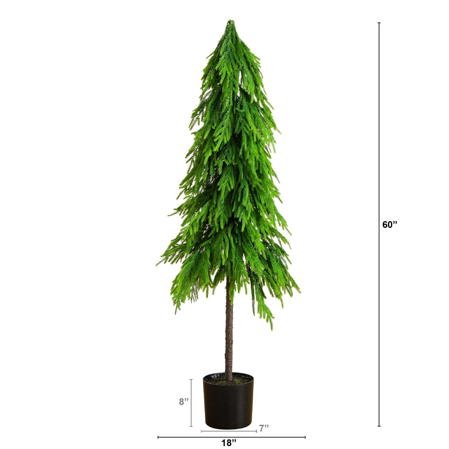 5 ft artificial Norfolk pine tree with Real Touch down swept green needles in black planter on Tampa Home & Garden Store