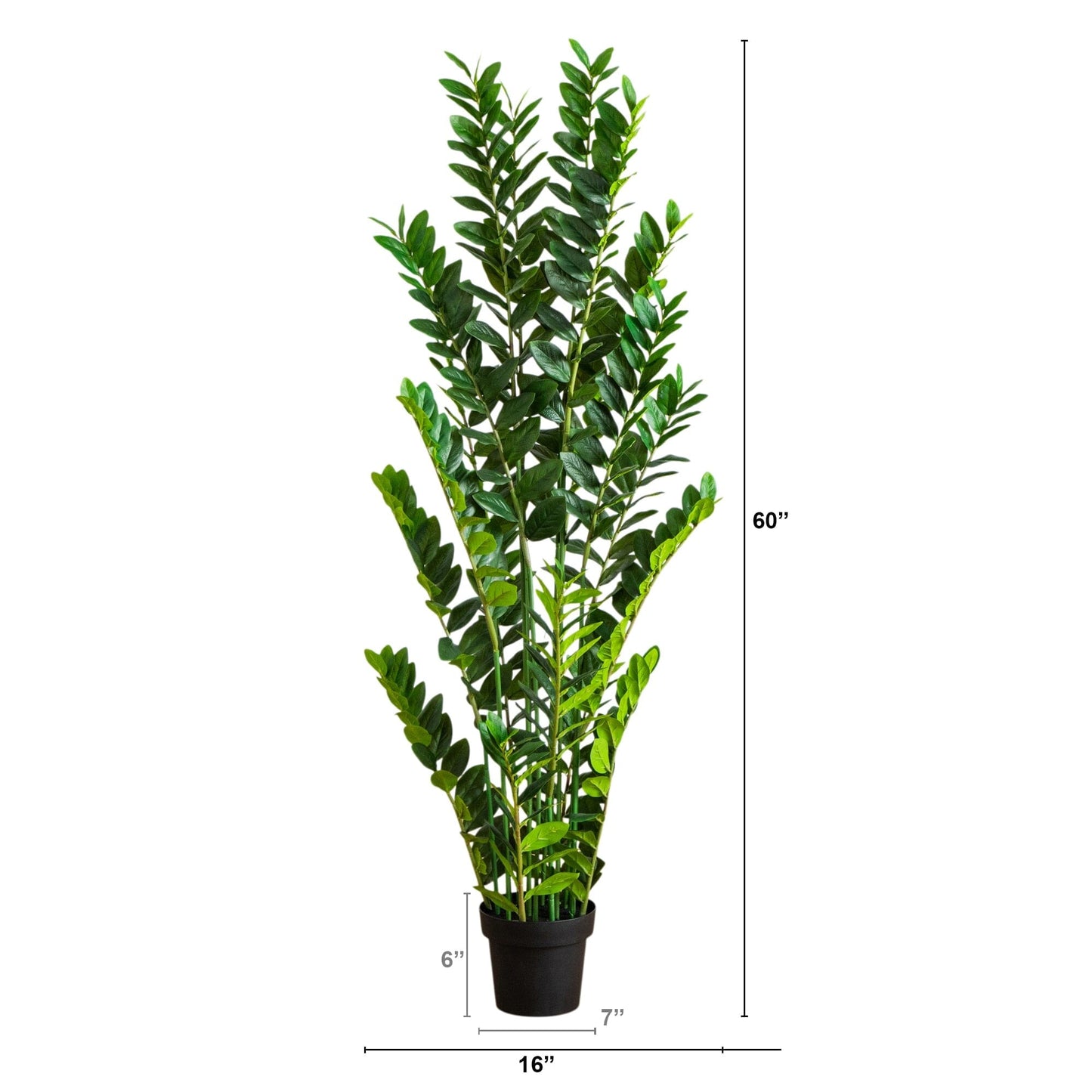 5' Artificial Zamioculcas Plant by Nearly Natural; tall stems with glossy leaves in a black pot on Tampa Home & Garden Store