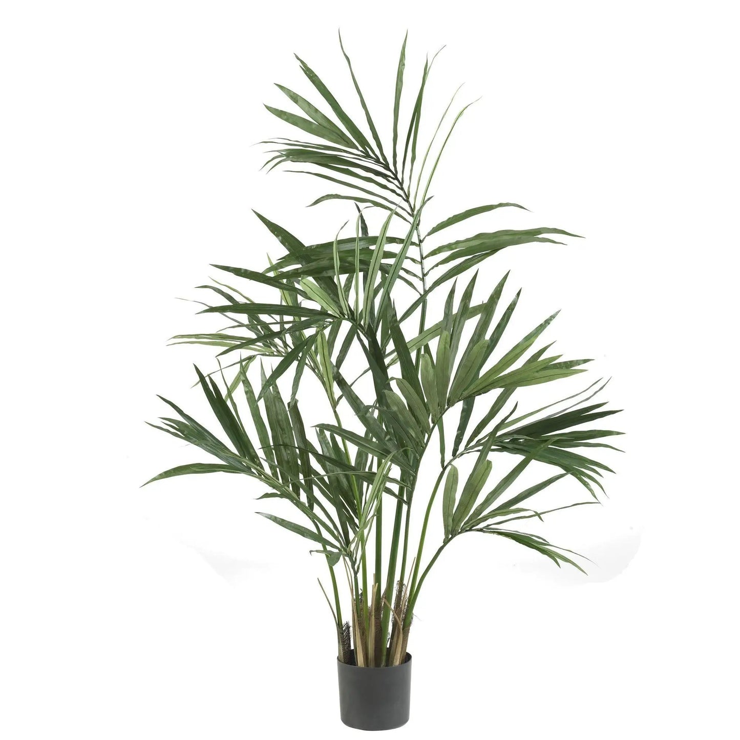 Nearly Natural Kentia Palm Silk Tree, 5 ft tall artificial palm in a black pot on Tampa Home & Garden Store