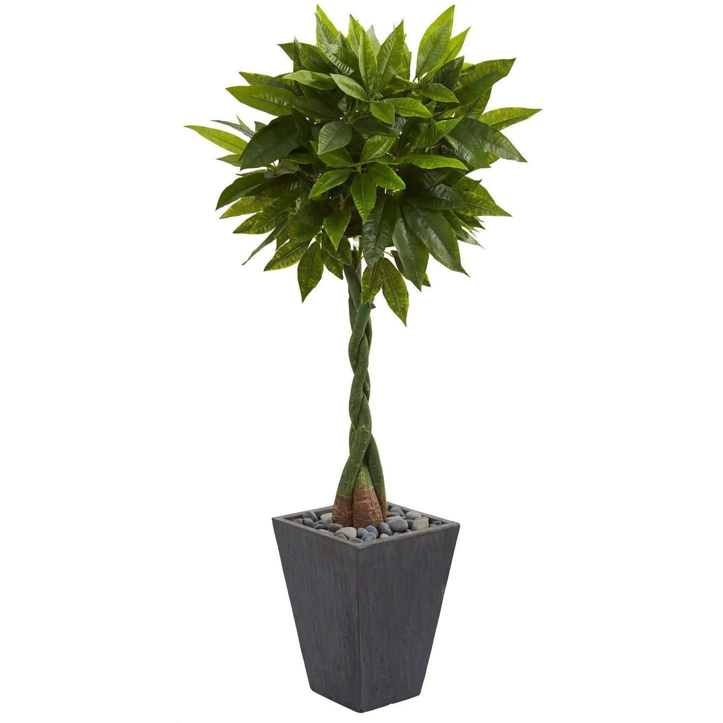 Money Tree artificial real touch in slate planter with braided trunk and green leaves on Tampa Home & Garden Store