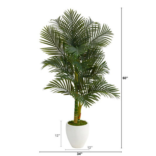 5’ Paradise Palm Artificial Tree in White Planter with Faux Moss - Tampa Home & Garden Store