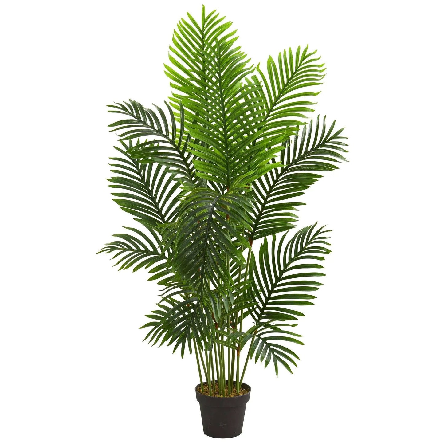 Paradise Palm artificial tree, Nearly Natural, 5 ft tall with green fronds in a black pot on Tampa Home & Garden Store