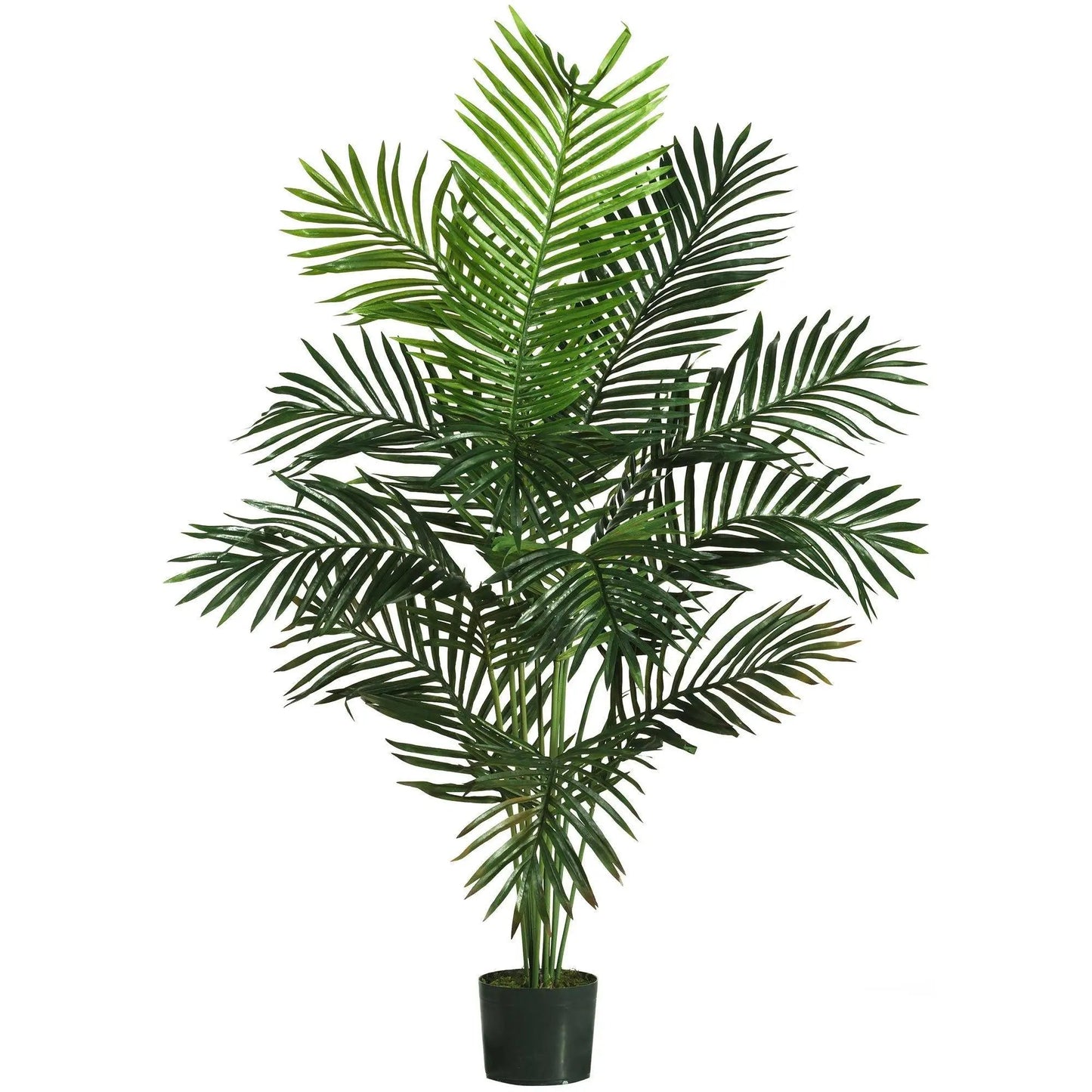 Nearly Natural five-foot Paradise Palm Tree in dark pot, artificial palm with lush green fronds on Tampa Home & Garden Store