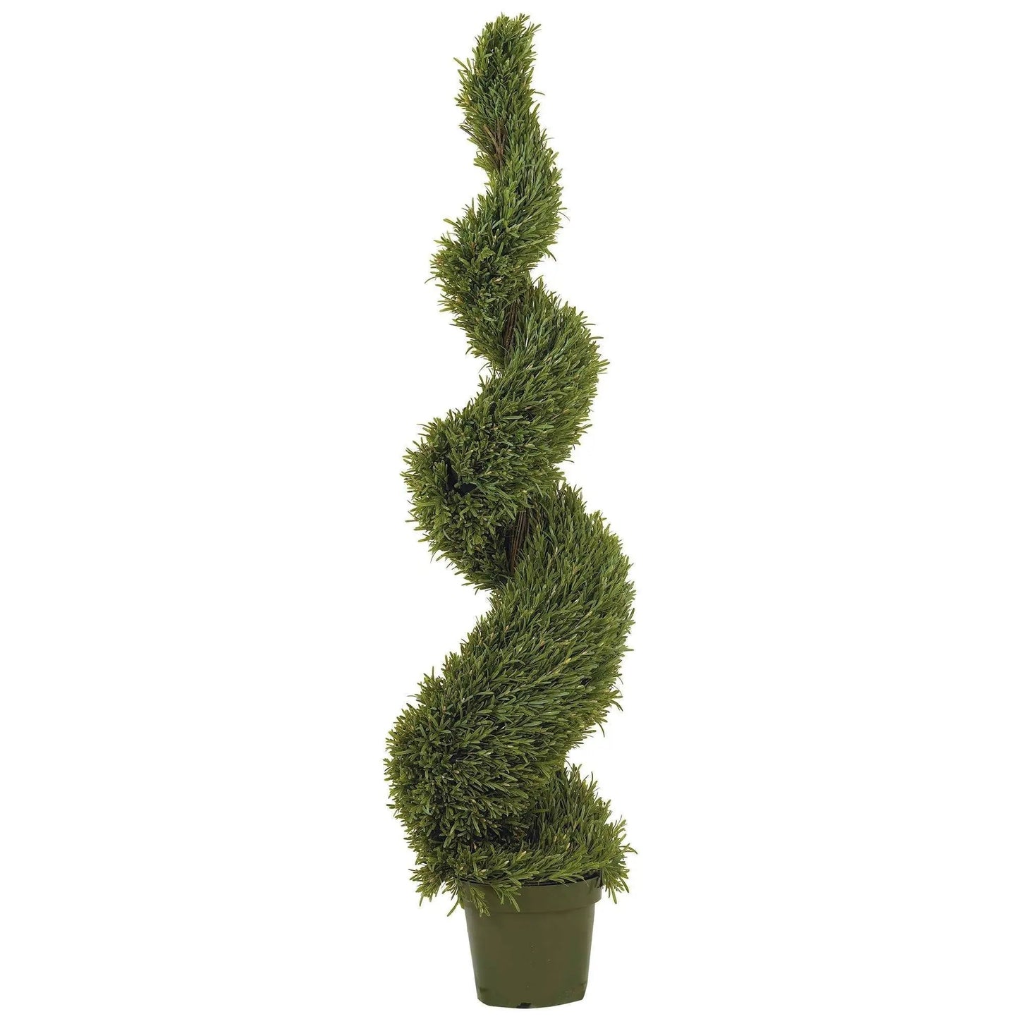 5 ft Rosemary Spiral Silk Tree by Nearly Natural in a green pot for indoor outdoor use on Tampa Home & Garden Store