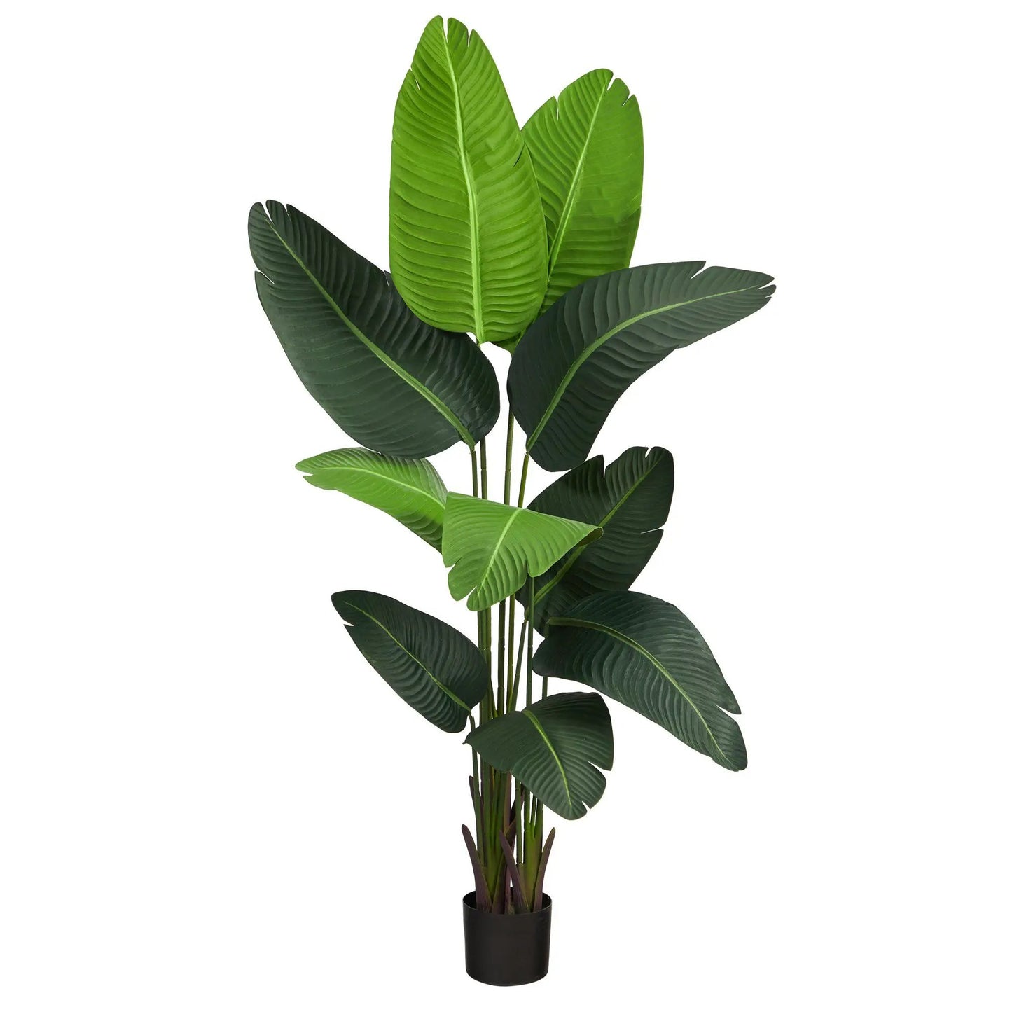 Five Foot Travelers Palm Artificial Tree by Nearly Natural with green leaves in a black pot on Tampa Home & Garden Store