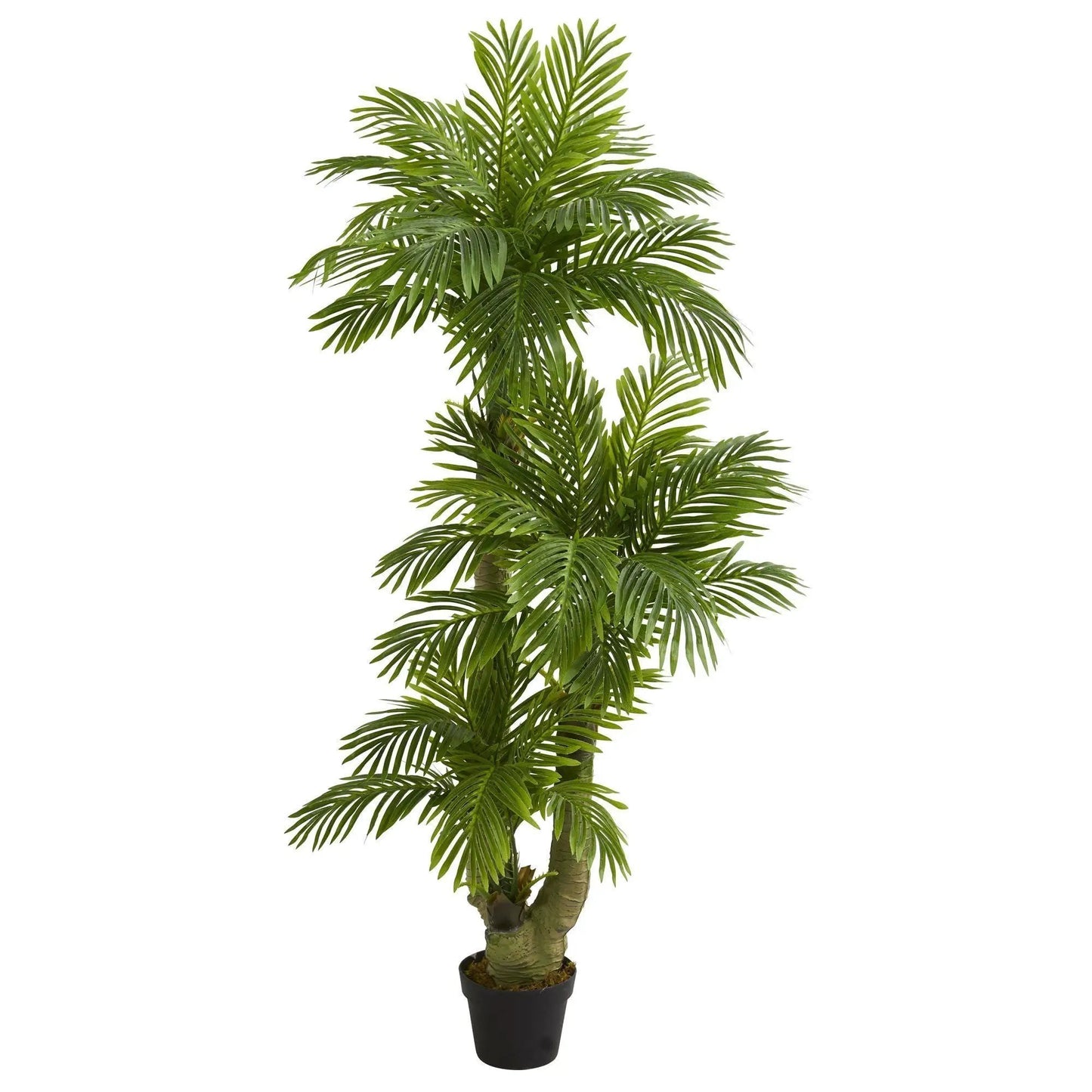 5 ft triple phoenix palm artificial tree by Nearly Natural in a black planter with fronds on Tampa Home & Garden Store