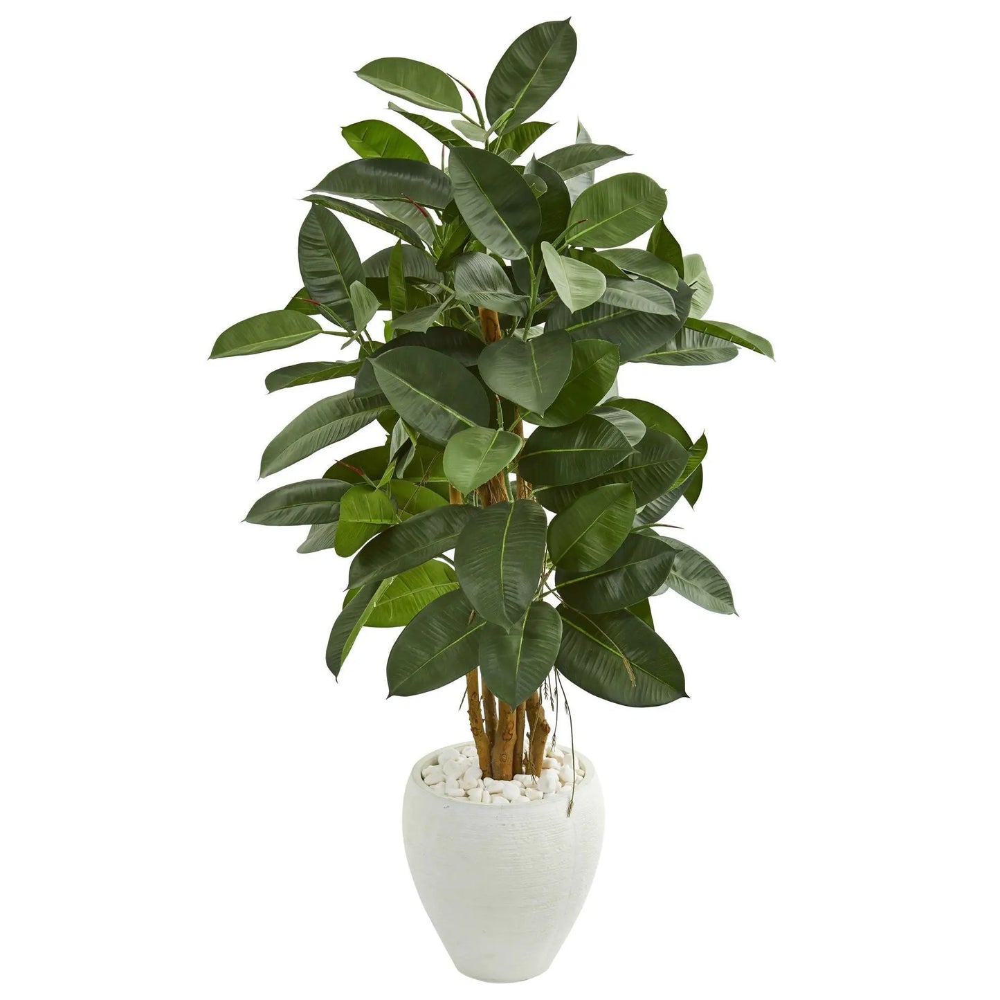 Nearly Natural 53-Inch Rubber Tree in white planter with white stones on Tampa Home & Garden Store