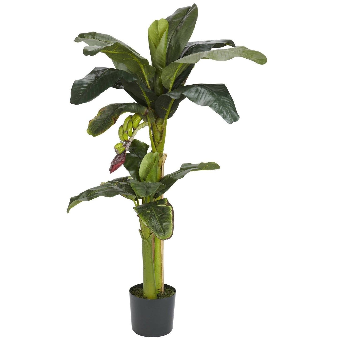 Banana Silk Tree with Bananas, 5- and 3-foot tall artificial plant with lush green leaves on Tampa Home & Garden Store