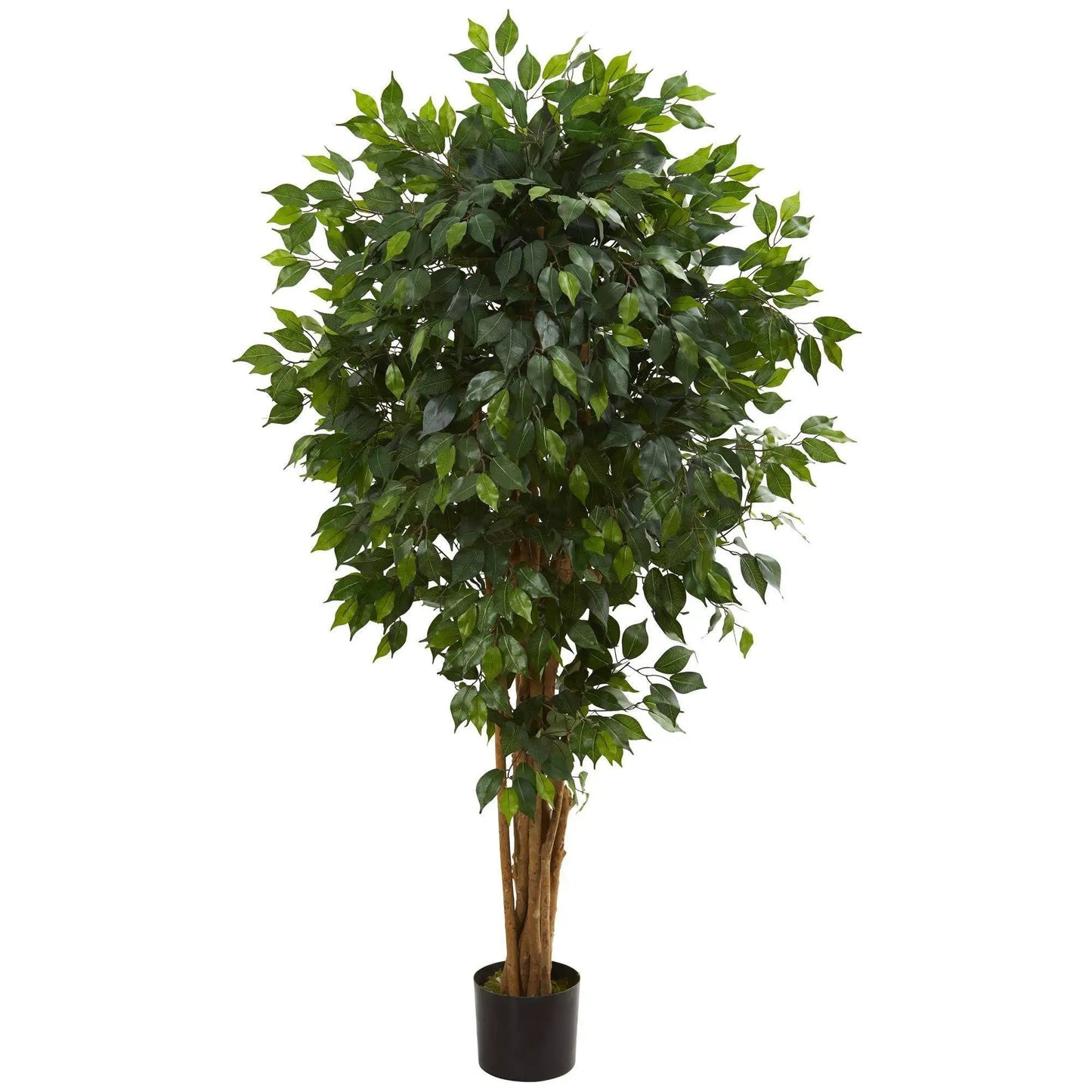 5.5 ft artificial ficus tree with bundled trunks in a black pot, lush green leaves by Nearly Natural on Tampa Home & Garden Store