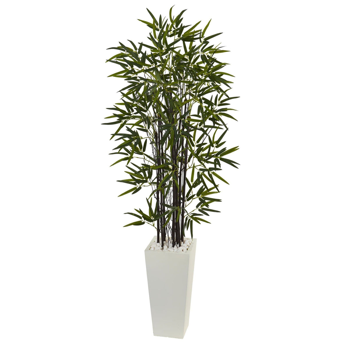 5.5ft Black Bamboo artificial tree in white tower planter on Tampa Home & Garden Store