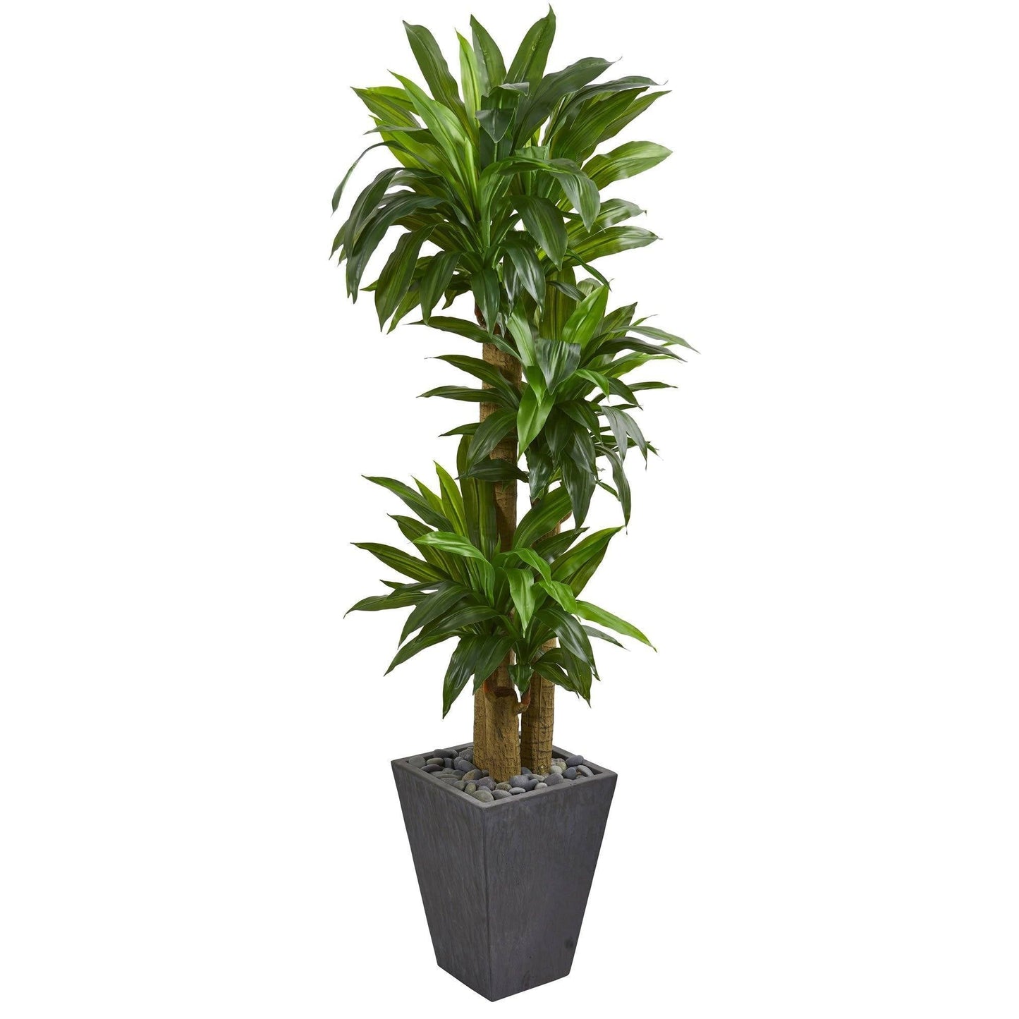 5.5 ft Cornstalk Dracaena artificial plant in slate planter by Nearly Natural with stones on Tampa Home & Garden Store