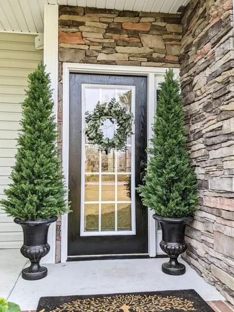 Cypress Cone Topiary, UV Resistant Indoor Outdoor, 5.5 ft, pair in black urns on Tampa Home & Garden Store