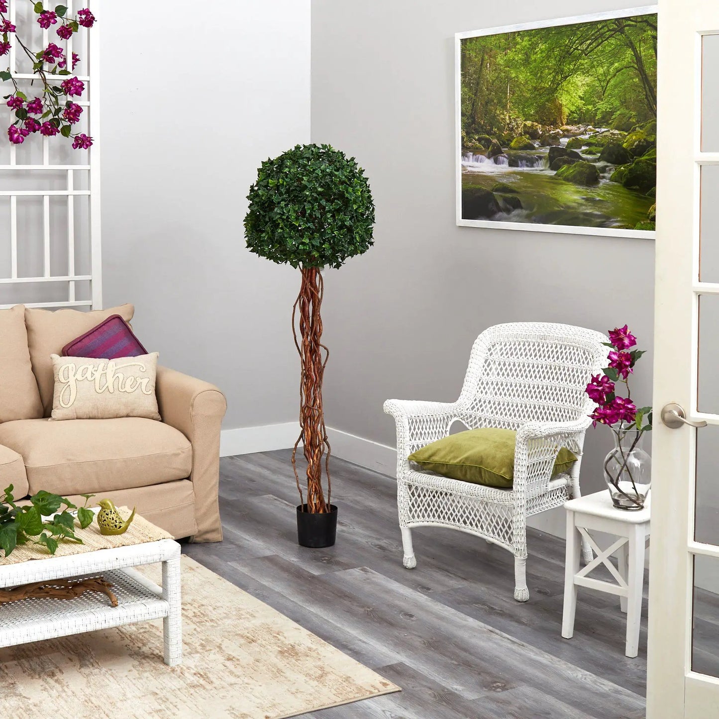 5.5 ft English Ivy topiary with natural trunk in a black pot indoors on Tampa Home & Garden Store