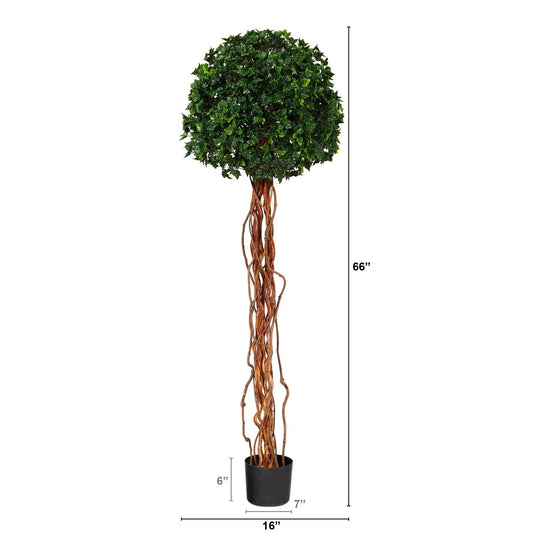 5.5 ft English Ivy topiary with natural twisted trunk in black pot by Nearly Natural on Tampa Home & Garden Store