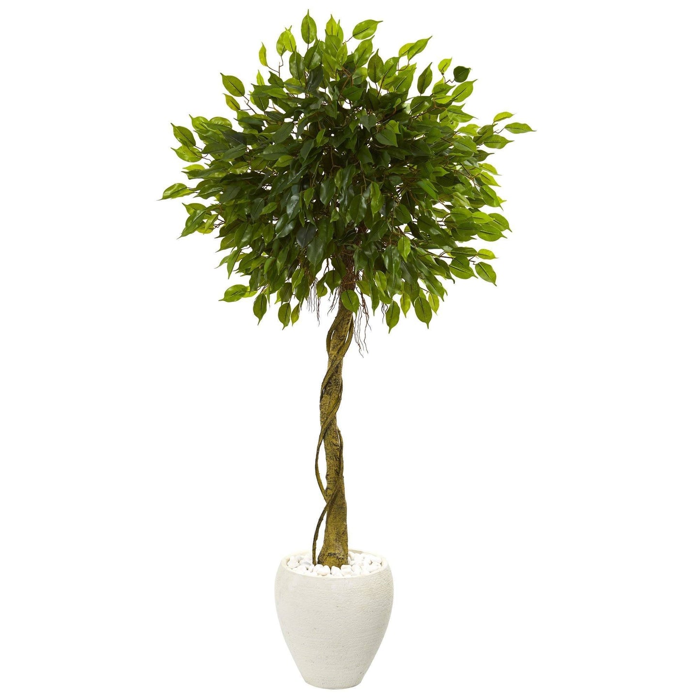 5.5 ft Ficus artificial tree in white oval planter with white stones Nearly Natural on Tampa Home & Garden Store