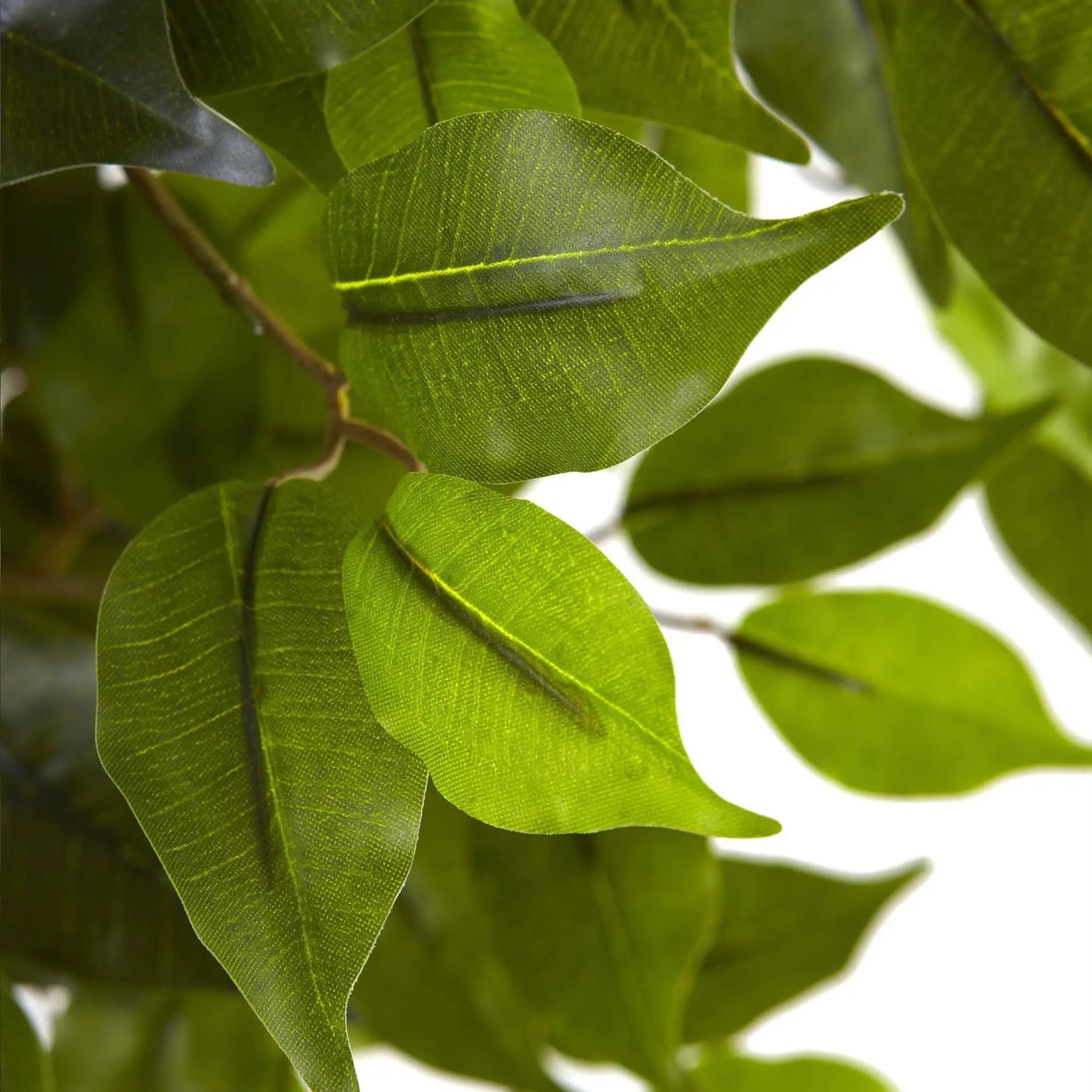 5.5 ft ficus tree UV resistant artificial leaves close-up, vibrant green foliage on Tampa Home & Garden Store