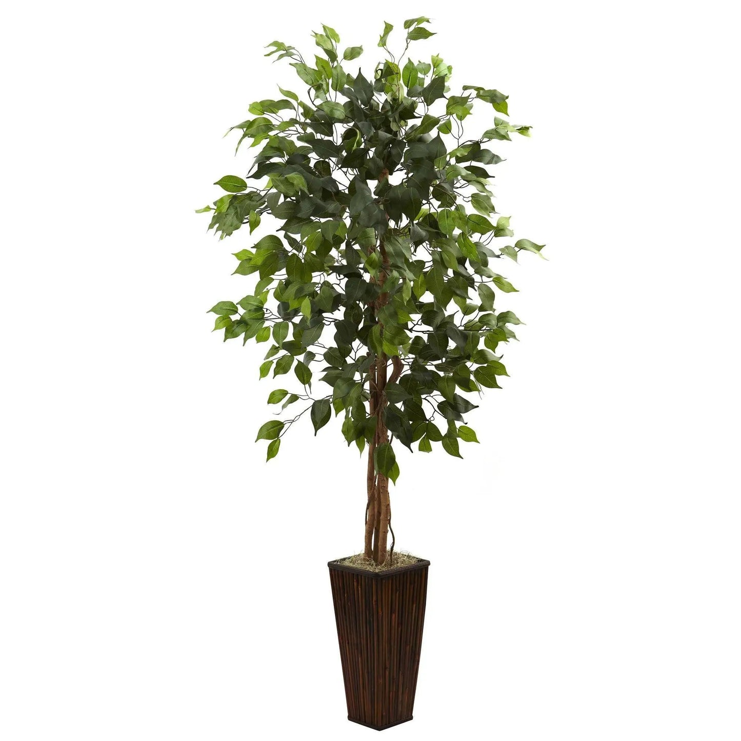 5.5 ft Ficus Tree in Bamboo Planter by Nearly Natural with lifelike green leaves on Tampa Home & Garden Store