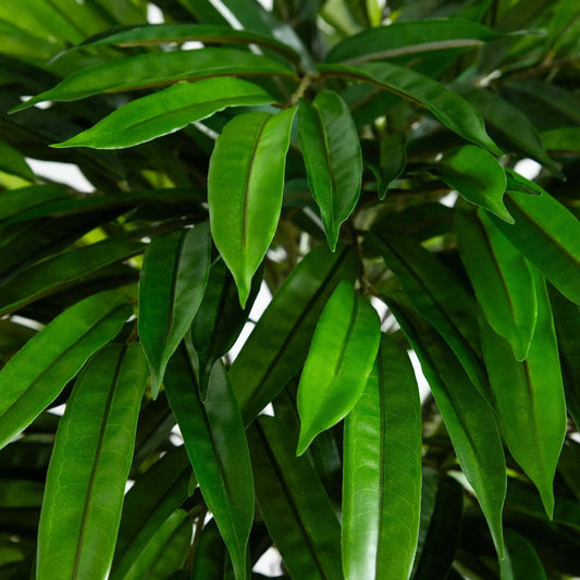 Mango Artificial Tree foliage close-up by Nearly Natural with glossy green leaves on Tampa Home & Garden Store