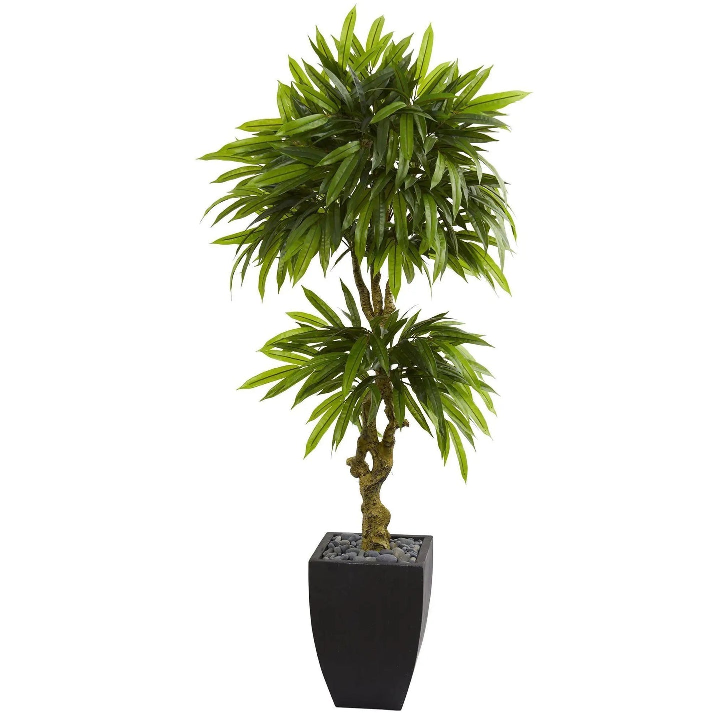 Mango Artificial Tree in Black Wash Planter with gray pebbles and lush green leaves on Tampa Home & Garden Store