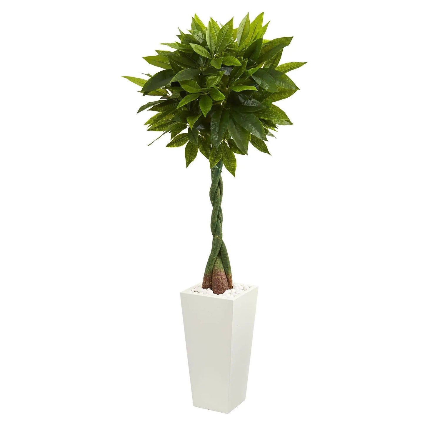 Money Tree in White Tower Planter Real Touch artificial tree with braided trunk in white planter on Tampa Home & Garden Store