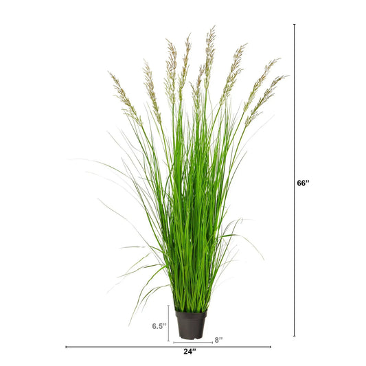 5.5 ft artificial plum grass plant by Nearly Natural in a brown pot with wispy plumes on Tampa Home & Garden Store