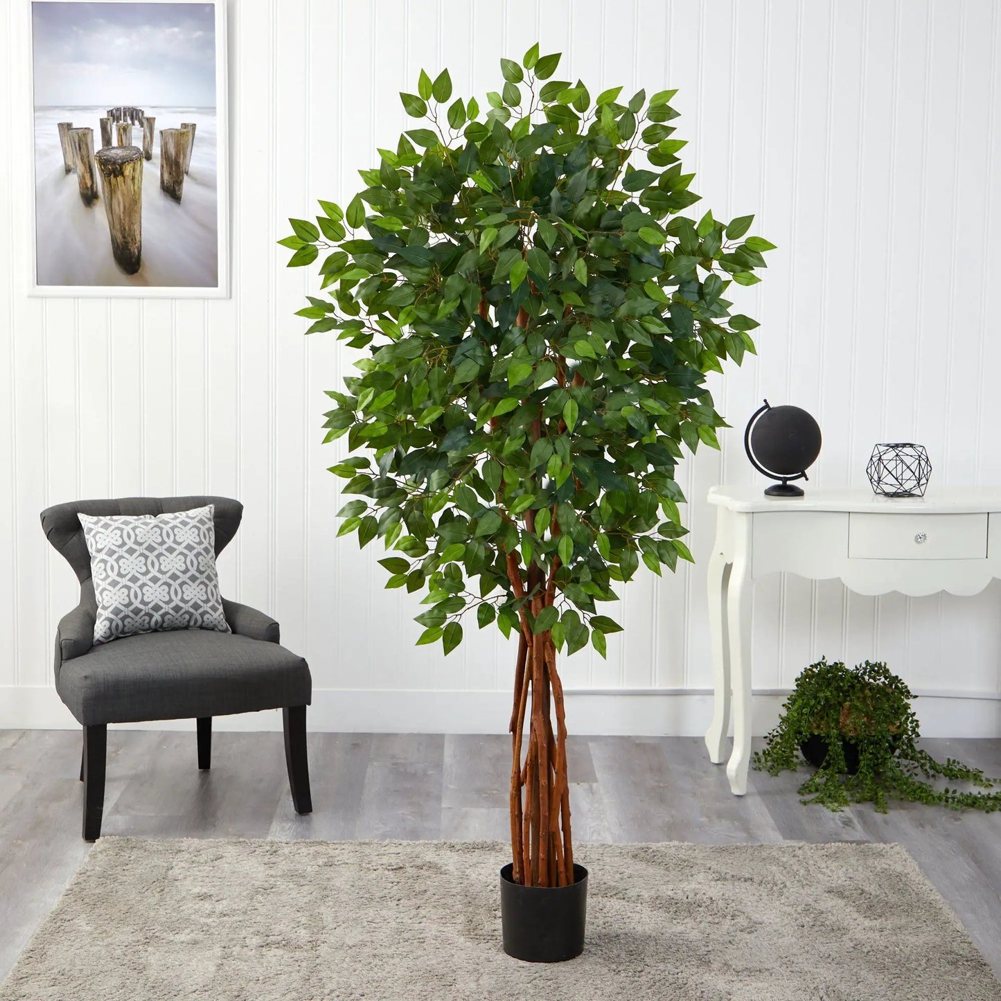 Five and a Half Feet Natural Trunk Ficus Tree, artificial ficus with lush green leaves on Tampa Home & Garden Store