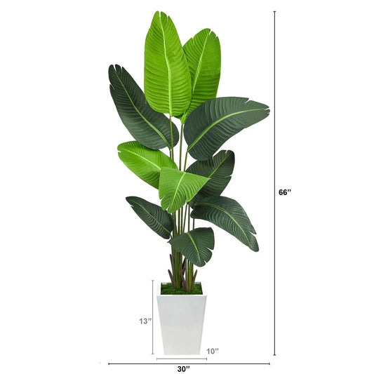 Travelers Palm artificial tree in white square planter, 5.5 ft tall on Tampa Home & Garden Store