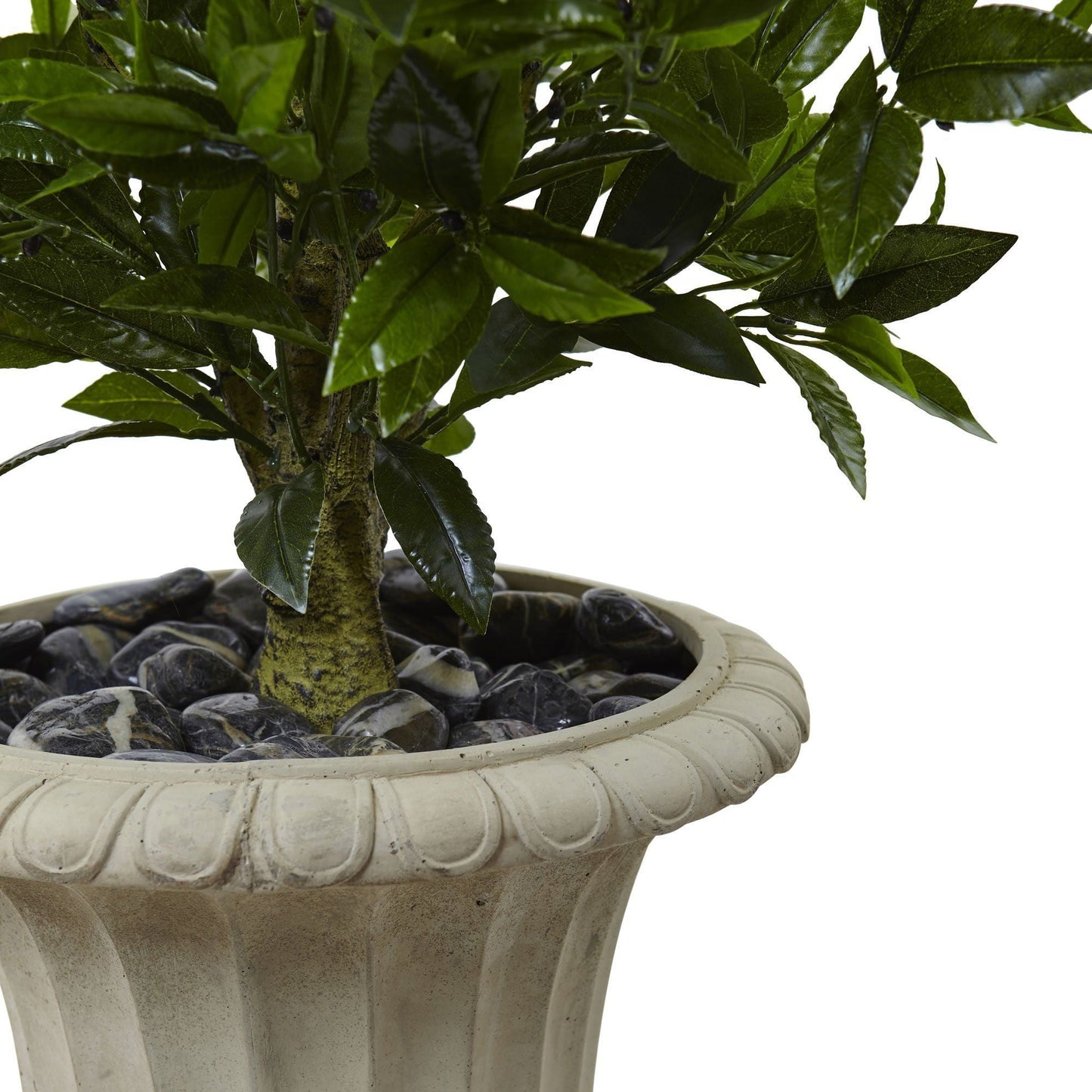 5.5 ft triple bay leaf topiary in urn with UV resistant finish and stone-filled pot on Tampa Home & Garden Store