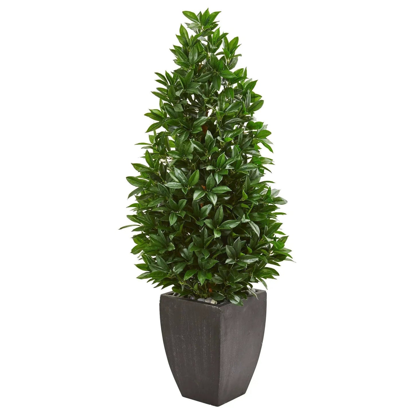 56-Inch Bay Leaf Cone Topiary in a black square planter, Nearly Natural artificial tree on Tampa Home & Garden Store