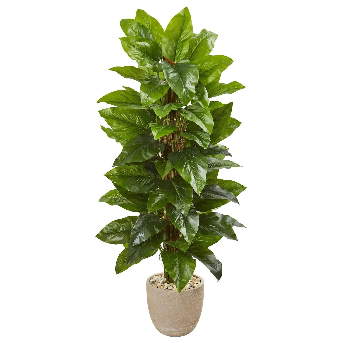Artificial Large Leaf Philodendron plant in beige stone planter with pebbles Nearly Natural on Tampa Home & Garden Store