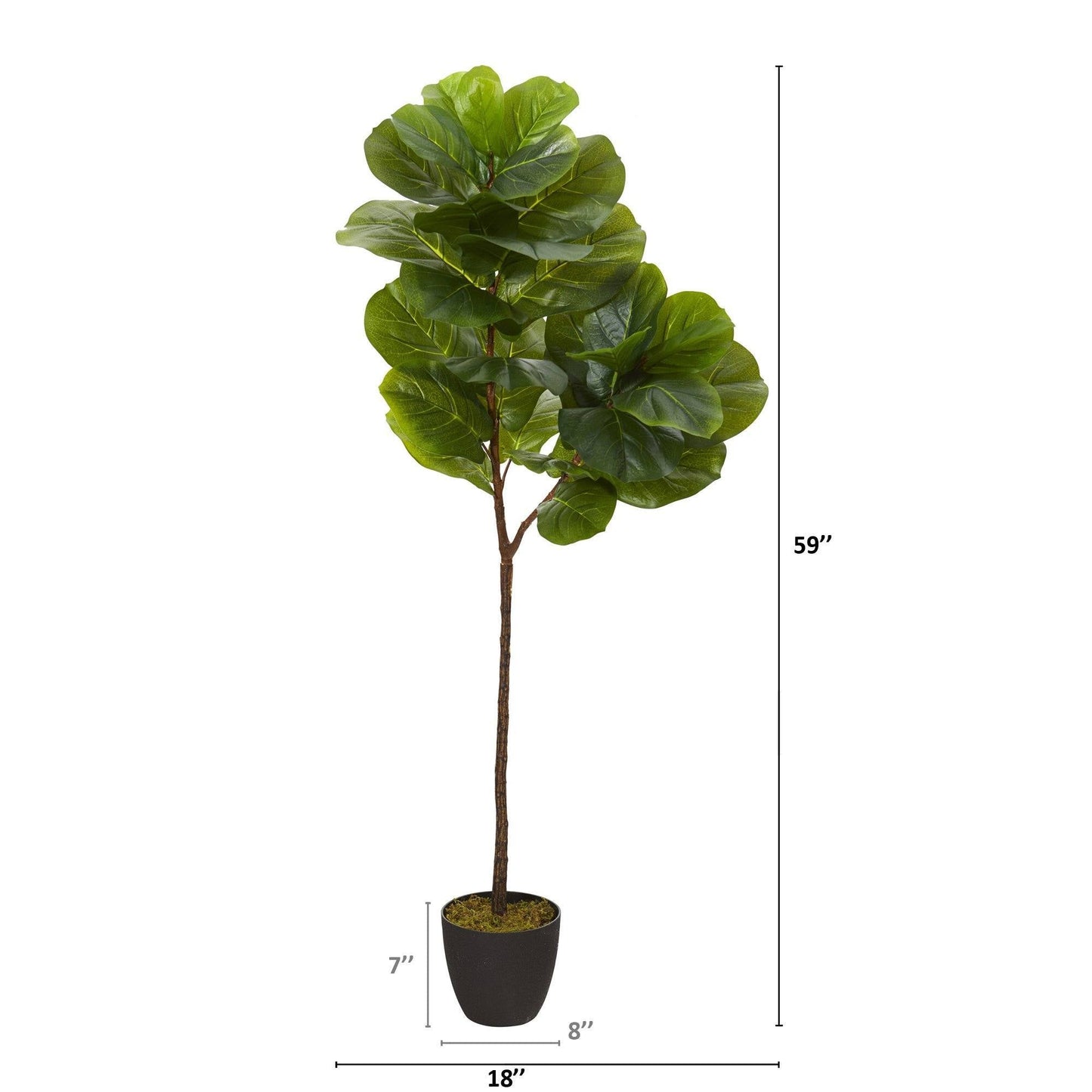 59in Fiddle Leaf Artificial Tree Real Touch with green leaves in black pot by Nearly Natural on Tampa Home & Garden Store