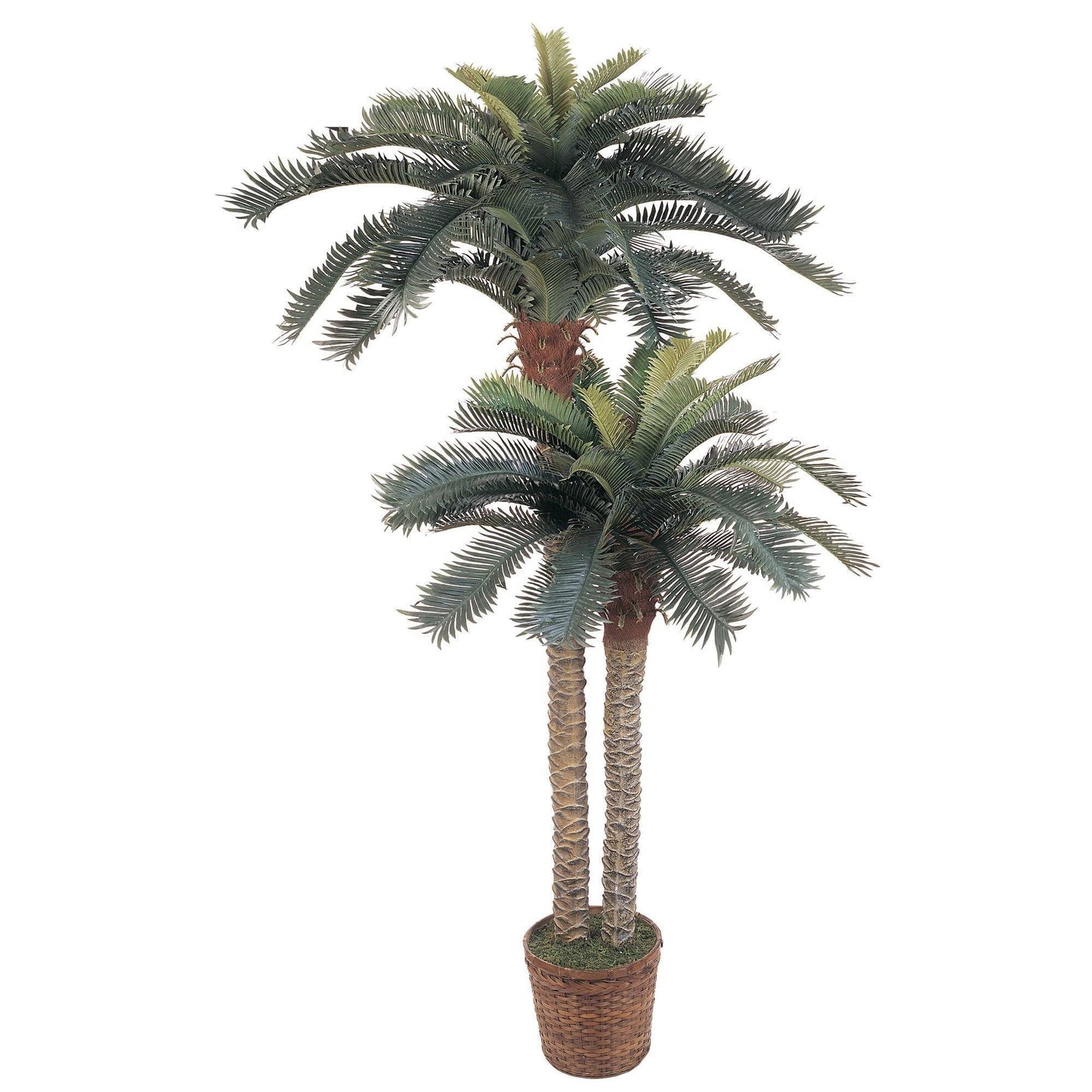 Nearly Natural 6' & 4' Sago Palm Silk Tree Double Potted in woven baskets on Tampa Home & Garden Store