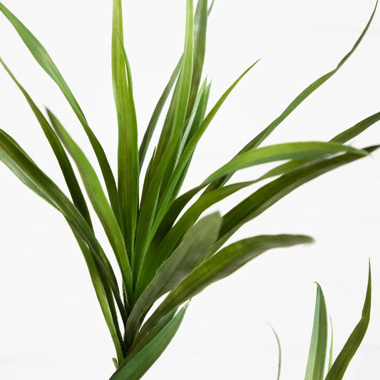 Six Foot Artificial Dracaena Tree Nearly Natural with green leaves for home decor on Tampa Home & Garden Store