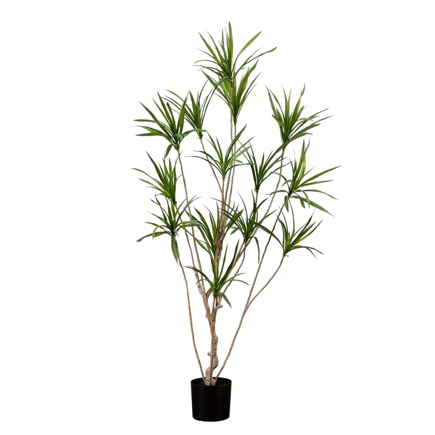 Six Foot Artificial Dracaena Tree in black pot with green leaves by Nearly Natural on Tampa Home & Garden Store