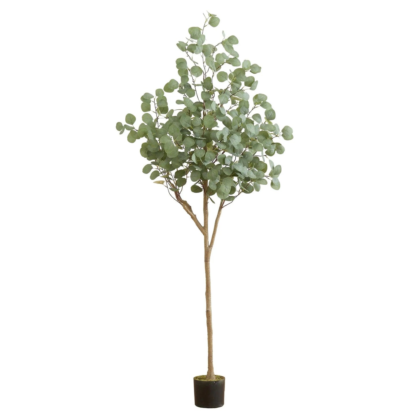 6 ft artificial eucalyptus tree by Nearly Natural in pot for home decor on Tampa Home & Garden Store