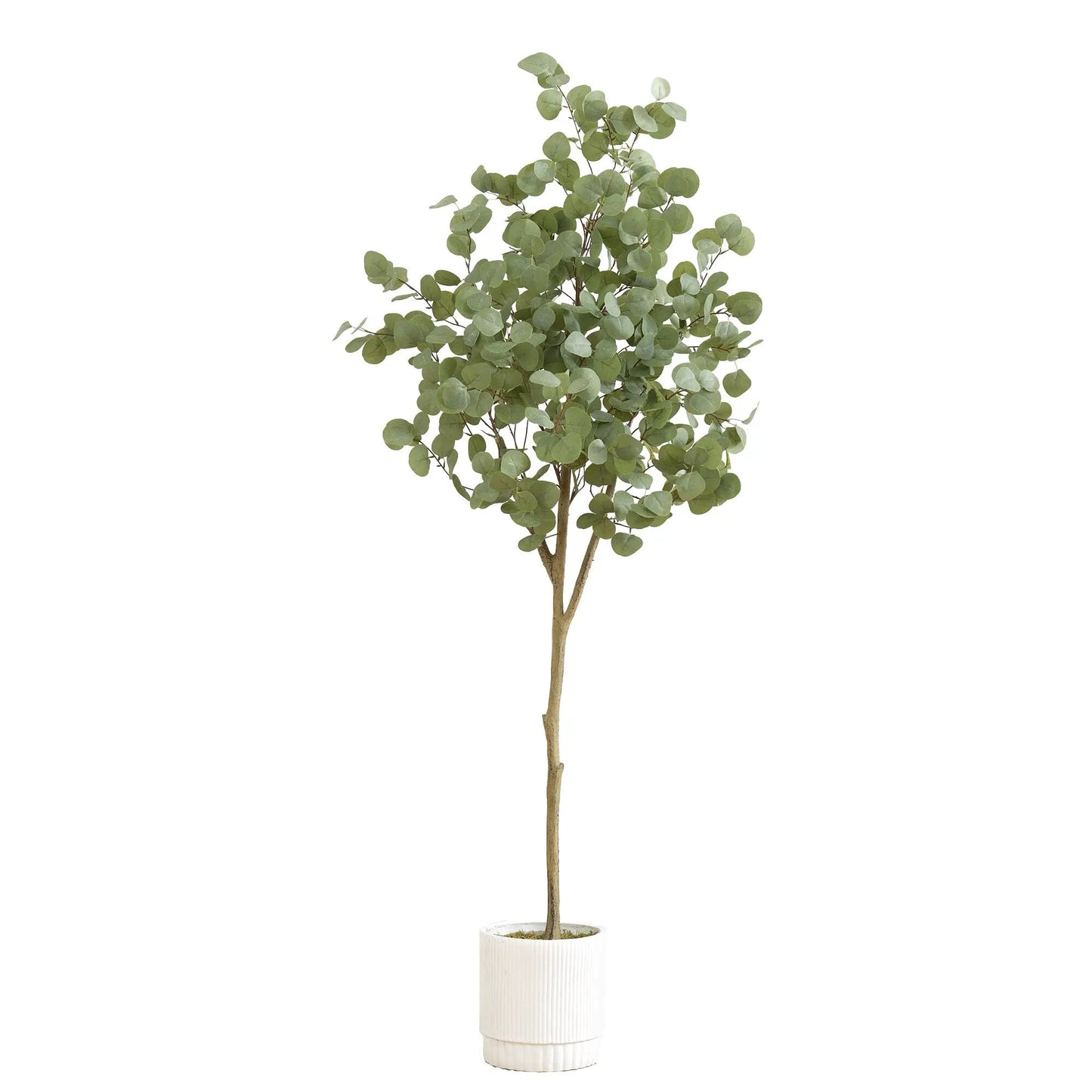 Artificial Eucalyptus Tree in a white ribbed planter with green leaves, 6 ft tall on Tampa Home & Garden Store